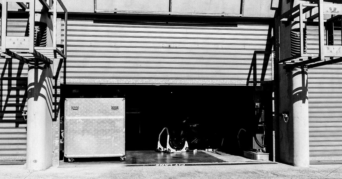 Door of Garage in Black and White